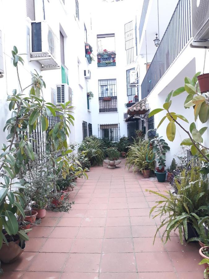 Apartamento Pleno Centro Wallada Cordoba Exterior photo